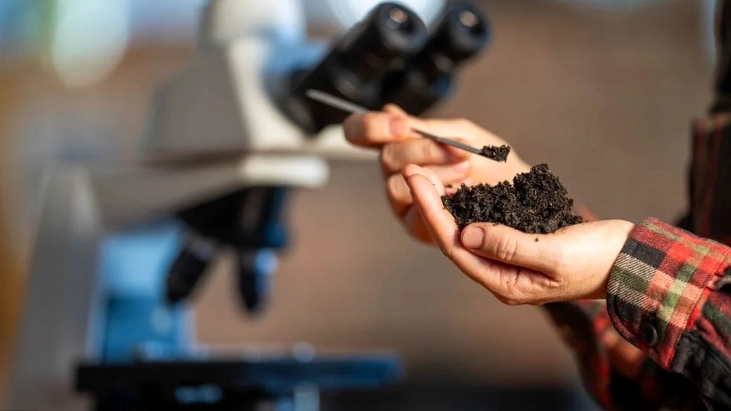 Illustrative image of Soil classification (USCS/AASHTO) in Albury-Wodonga